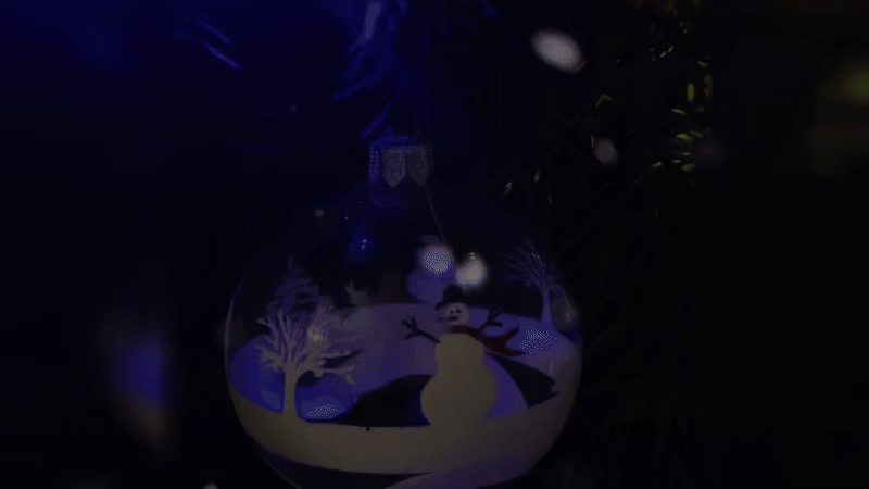 Joyeux Noël et Meilleurs Vœux pour une année 2026 pleine de bonheur, de santé et de réussite.