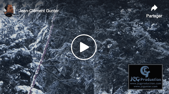 Vidéo depuis la Suisse, Saint-Cergue : bonjour à tous, voici une petite vidéo filmée à Saint-Cergue, Jura en Suisse, avec ma Luciole. Il neige et c’est magnifique. :-)