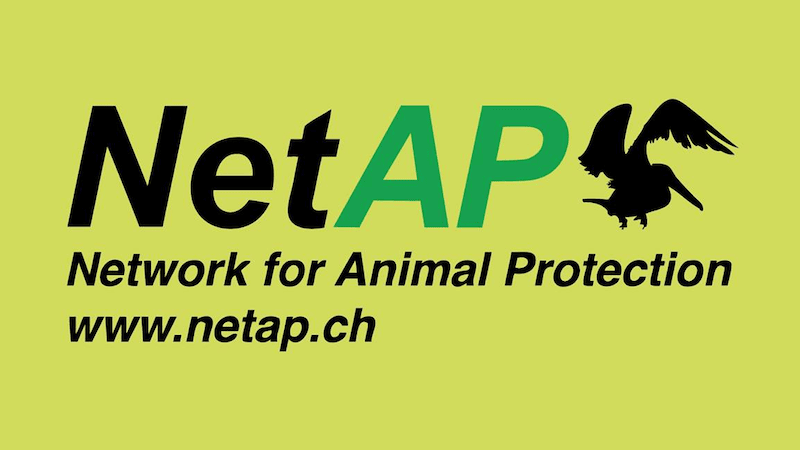 Animals in Ukraine also suffer from war. You can help them thanks to the NetAP association.