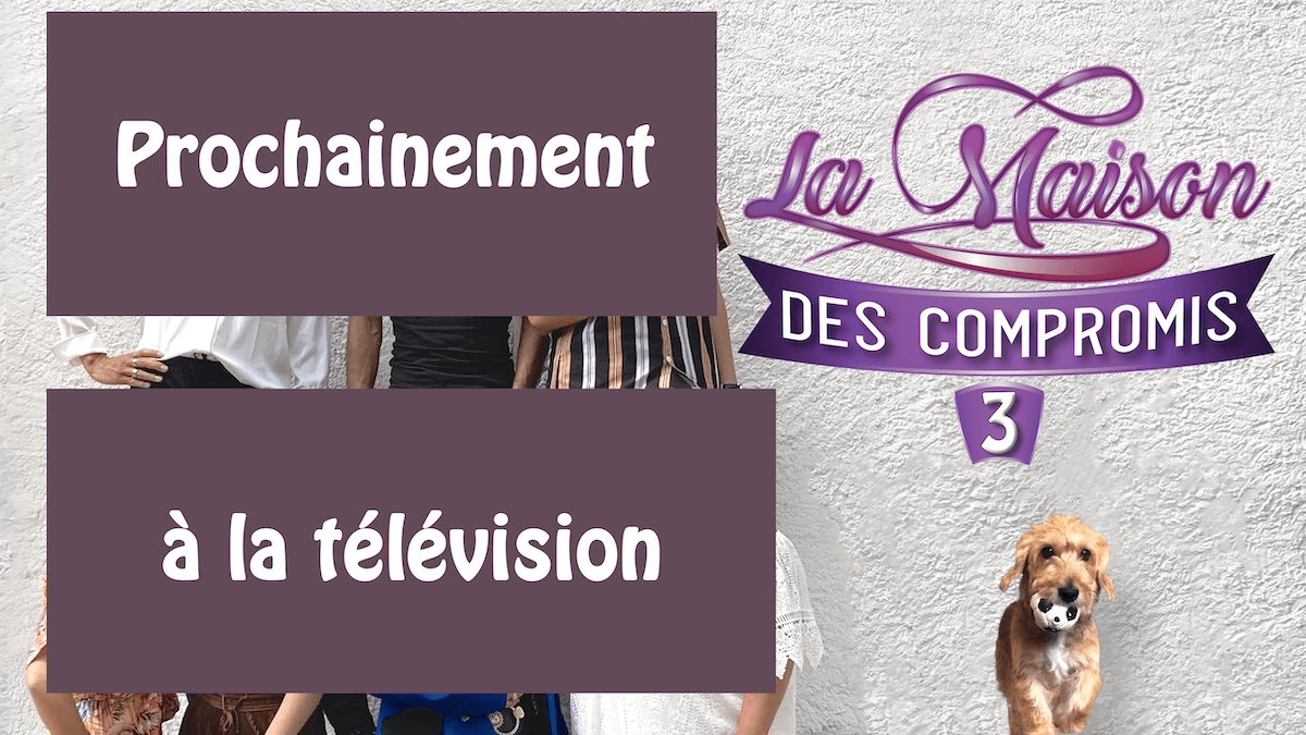 Téléréalité gratuite à la télévision et en streaming/AVOD - Série/émission gratuite (suite de votre show préféré) - Pour toute la famille - Clashs, action, rire, aventure.