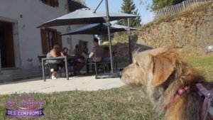 Petite chienne mascotte mignonne de cette téléréalité d'aventure, de suspense, d'action, drôle - Attention aux gros clashs avec des candidates qui ne sont pas compatibles.