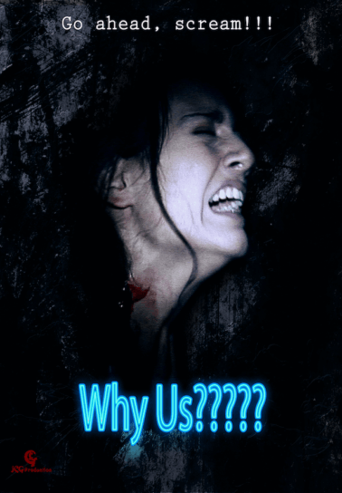 Film d'horreur found footage/gore avec des infectés (Pourquoi nous ! est un long-métrage de Jean-Clément Gunter, réalisateur suisse) - Why Us? est une production lugubre (qui se passe en partie dans un bunker/sombre avec une bande de jeunes).