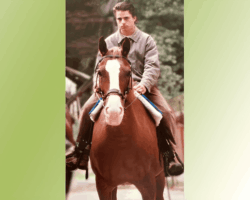 Réalisateur de films/Producteur de téléréalité - Jean-Clément Gunter, JCG Production - Cavalier de 17 ans sur un cheval (il était déjà metteur en scène).