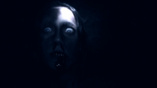 Film d'horreur qui fou la trouille - Film d'horreur avec des infectés/infectées dans un bunker lugubre - Le film Why Us est un long-métrage d'horreur found found footage (documenteur).