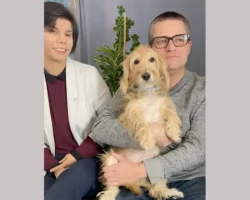 Candidate de télé-réalité/émission TV et petite chienne mascotte trop mignonne (elle s'appelle Lola) - La maison des compromis